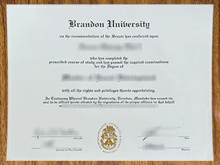 布兰登大学学位证书