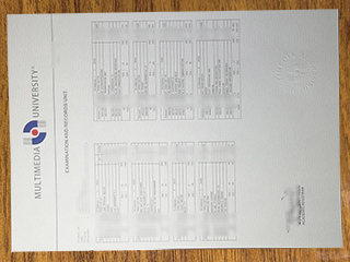 多媒体大学成绩单
