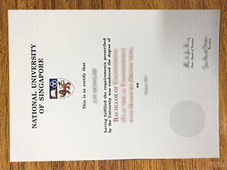 新加坡国立大学文凭