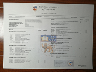 新加坡国立大学成绩单