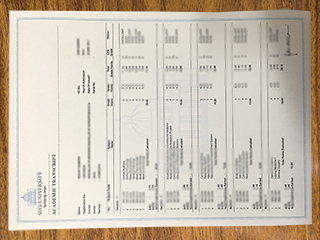 世纪大学成绩单