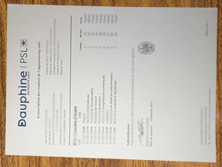 Université Paris Dauphine transcript