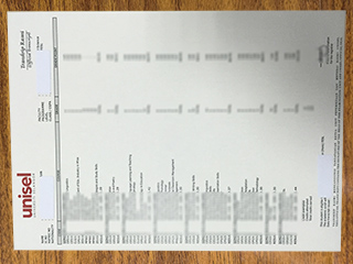 Universiti Selangor transcript