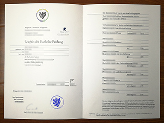 Bergische Universität Wuppertal transcript