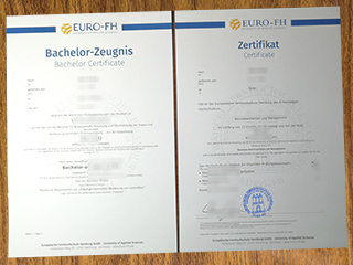 Europäische Fernhochschule Hamburg transcript