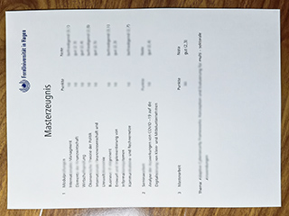 FernUniversität in Hagen transcript