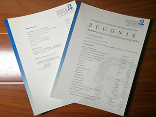 Goethe-Universität Frankfurt transcript