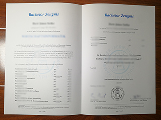 Hamburger Fern-Hochschule transcript