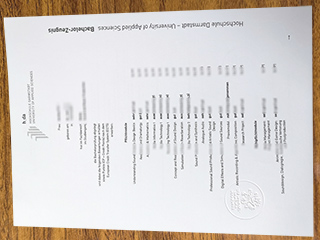 Hochschule Darmstadt transcript