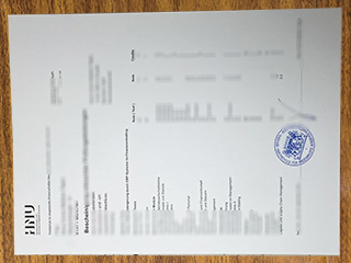 Hochschule Neu-Ulm transcript