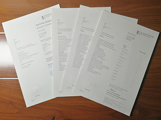 Reutlingen University transcript