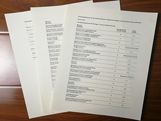 Hochschule Rhein-Waal transcript