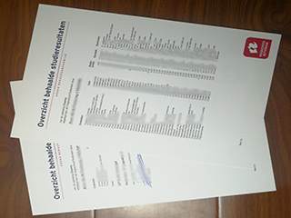 Hogeschool Rotterdam transcript
