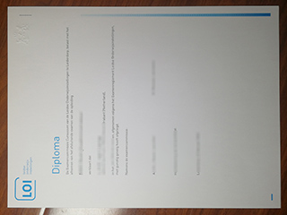 Leidse Onderwijsinstellingen degree