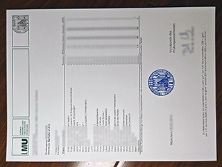 LMU München transcript