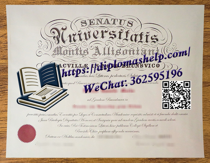 蒙特爱立森大学文凭