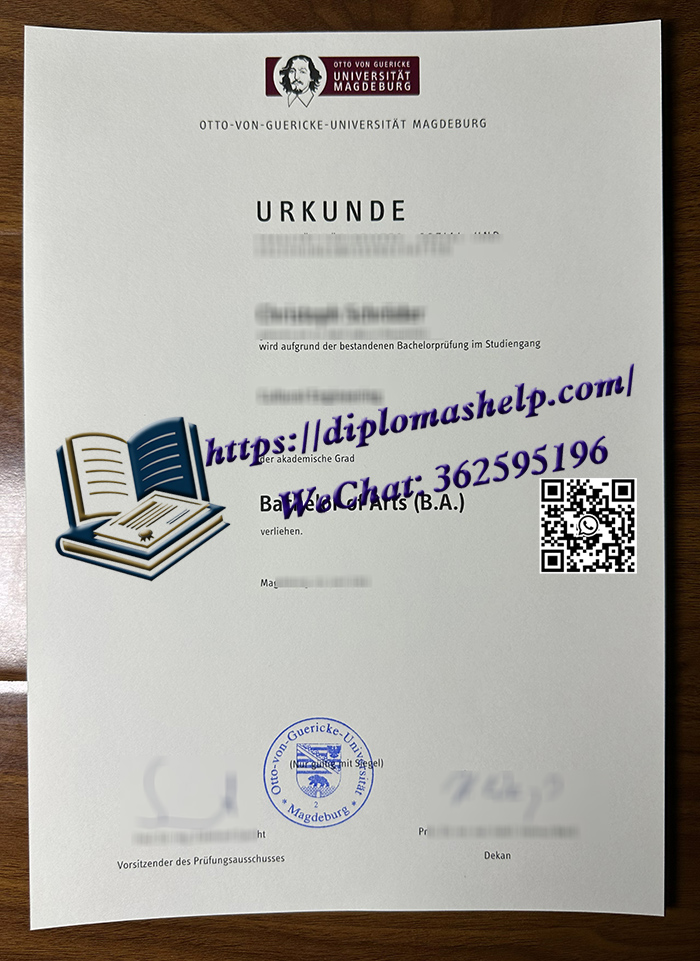 马格德堡大学文凭