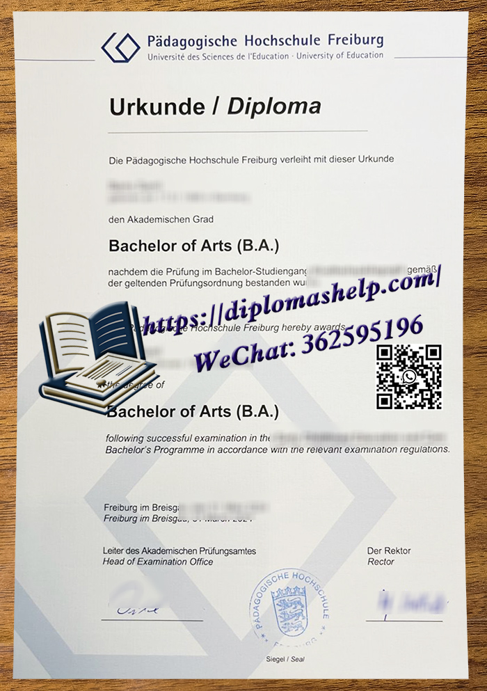 弗莱堡教育大学文凭