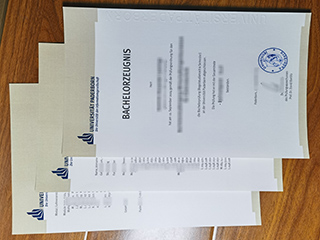 Universität Paderborn transcript