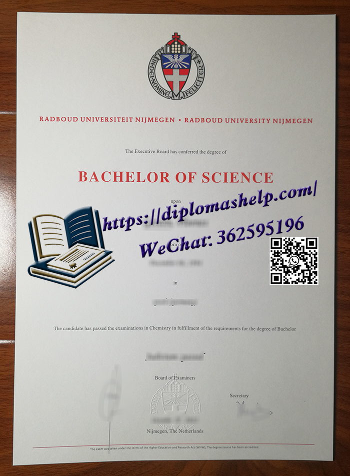 内梅亨大学文凭