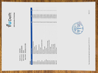TU Delft transcript