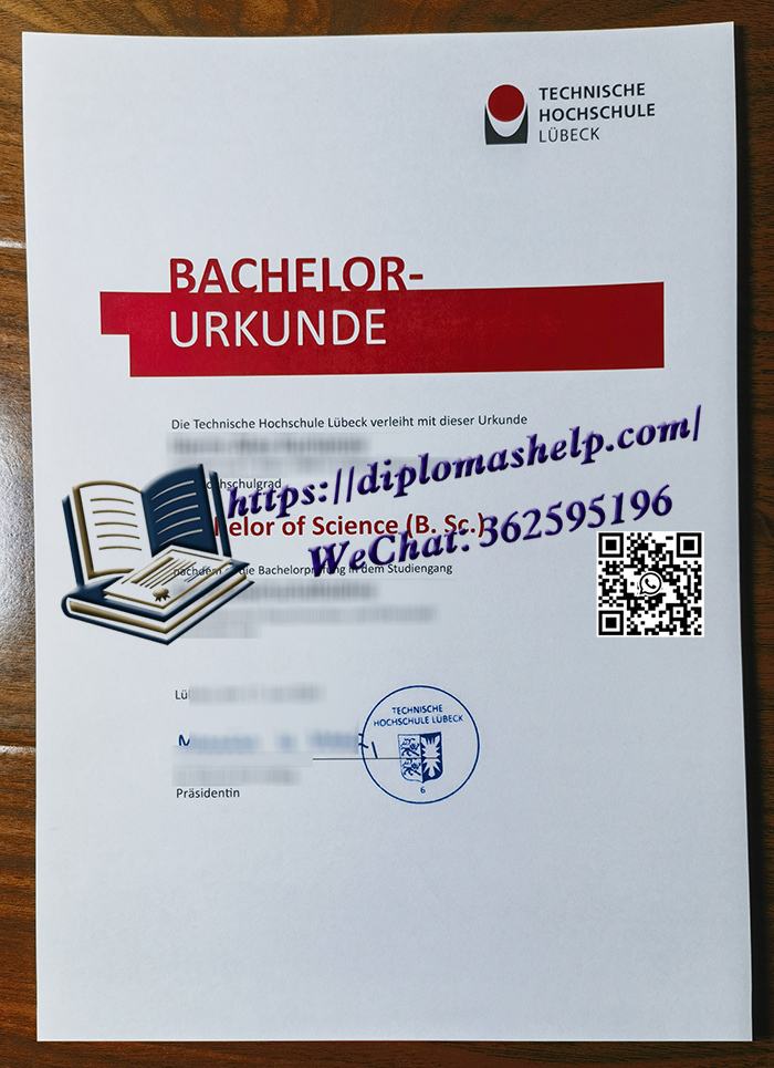 吕贝克技术大学文凭