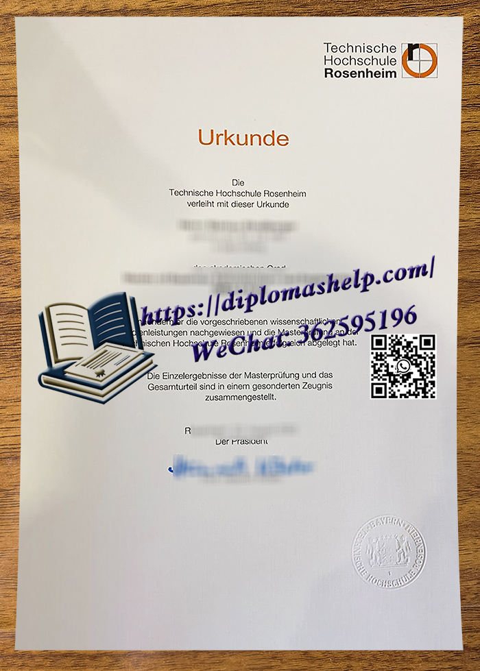 罗森海姆工程技术大学文凭