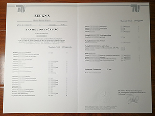 TU Berlin transcript