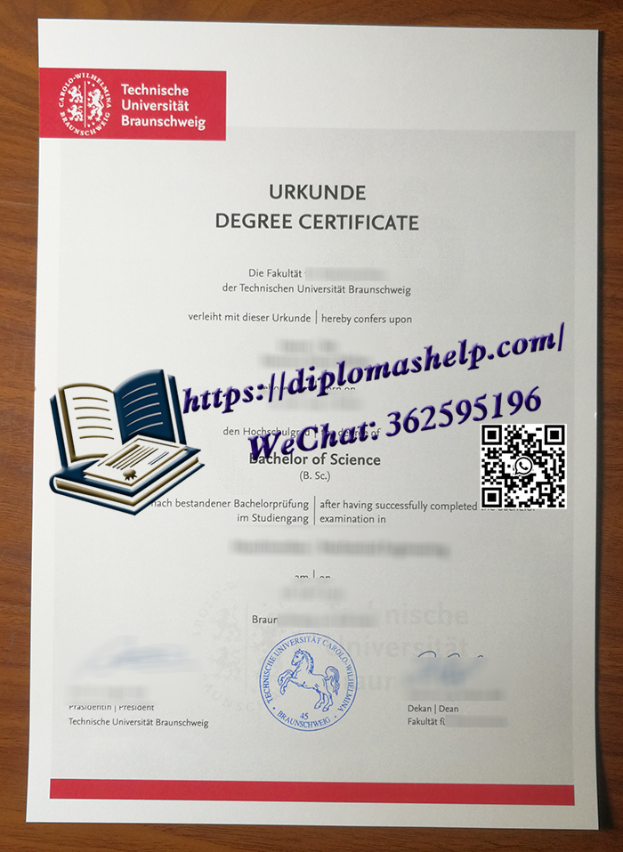 布伦瑞克工业大学文凭