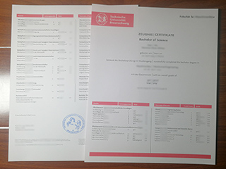 TU Braunschweig transcript