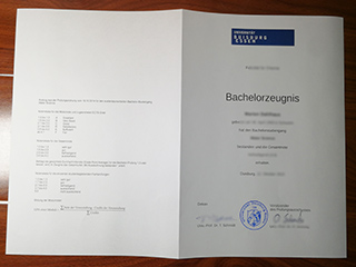 Universität Duisburg-Essen transcript