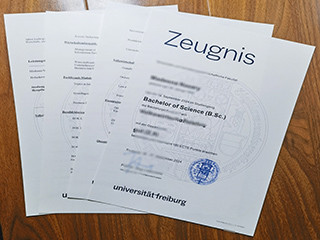 Universität Freiburg transcript