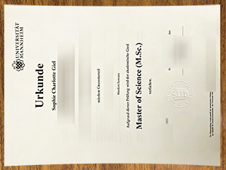 曼海姆大学文凭