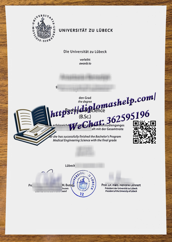 吕贝克大学文凭