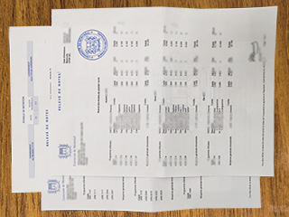 蒙特利尔大学成绩单