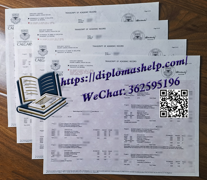 卡尔加里大学成绩单