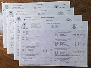 University of Calgary transcript