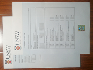 University of New South Wales transcript