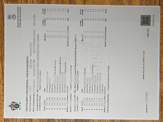英国斯旺西大学成绩单
