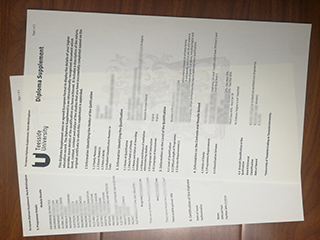 英国提赛德大学成绩单
