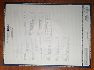 美国诺瓦东南大学成绩单