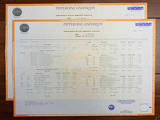 美国佩珀代因大学成绩单