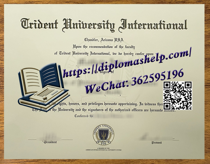 三叉戟国际大学文凭