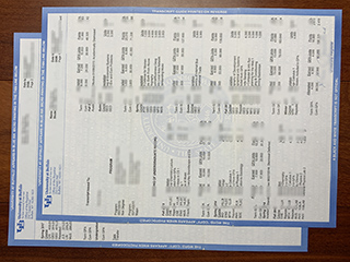 水牛城大学成绩单
