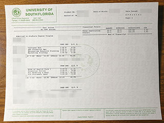 美国南佛罗里达大学成绩单