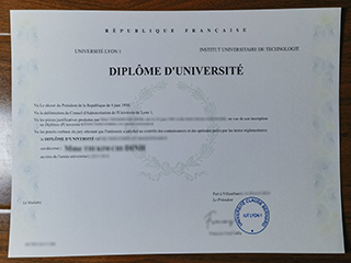 里昂第一大学理工学院毕业证书
