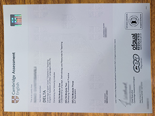 Cambridge DELTA certificate