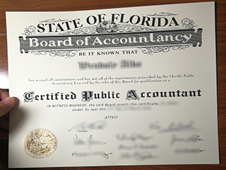 Florida CPA license