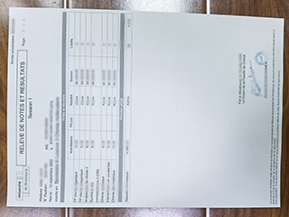 法国‌斯特拉斯堡大学‌‌成绩单