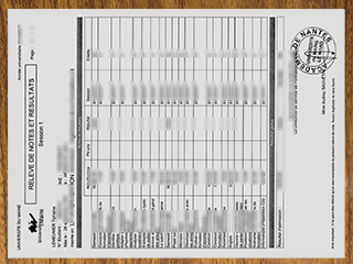 Le Mans Université transcript